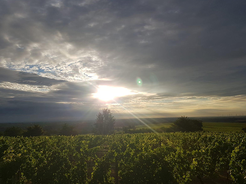 ginbie-camperliebe-suedpfalz-impressionen-06